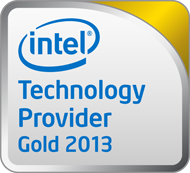 Intel Technology Provider Gold